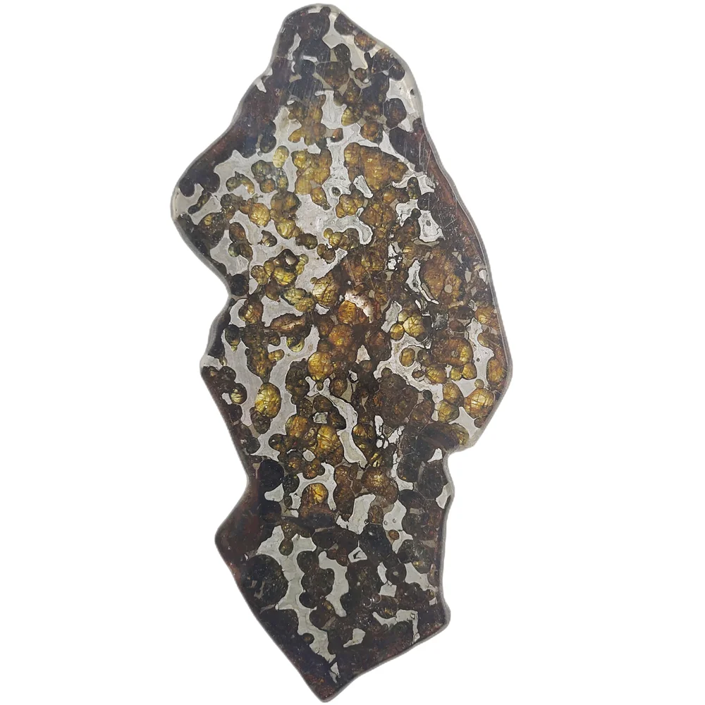 Brenham Olivine Meteorite Секция образец натурального метеорита коллекция образцов