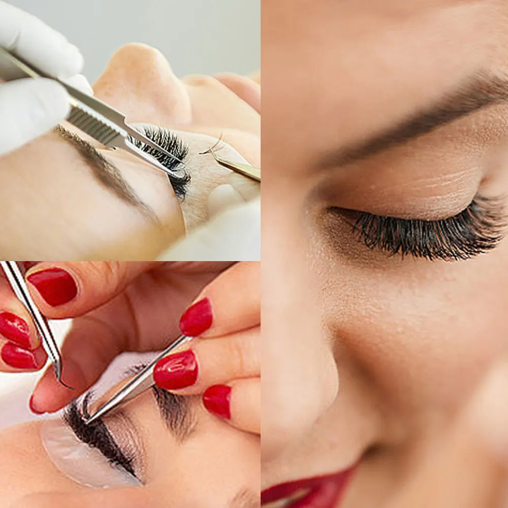 1600 вееры Seashine Объем 8-15 мм Смешанная Длина острые стебли Promade свободные Поклонники