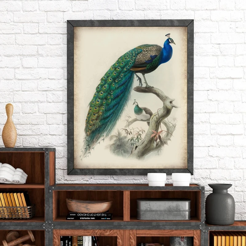 

Beautiful Peacocks Bird Canvas Painting for Living Room Vintage Poster Animals Picture Retro Wall Art Mural Interior Room Decor