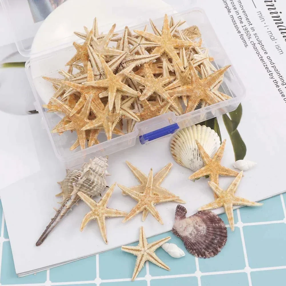 1 коробка 20/50/100 шт. коробки из натуральной морской звезды пляжное ремесленное