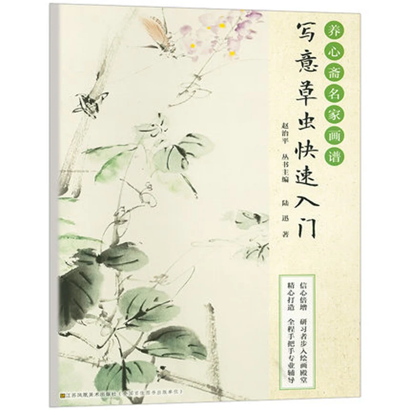 

Traditional Chinese painting Xie Yi Freehand Xie Yi Flower orchid Plum blossom grass and insect Drawing Art Book