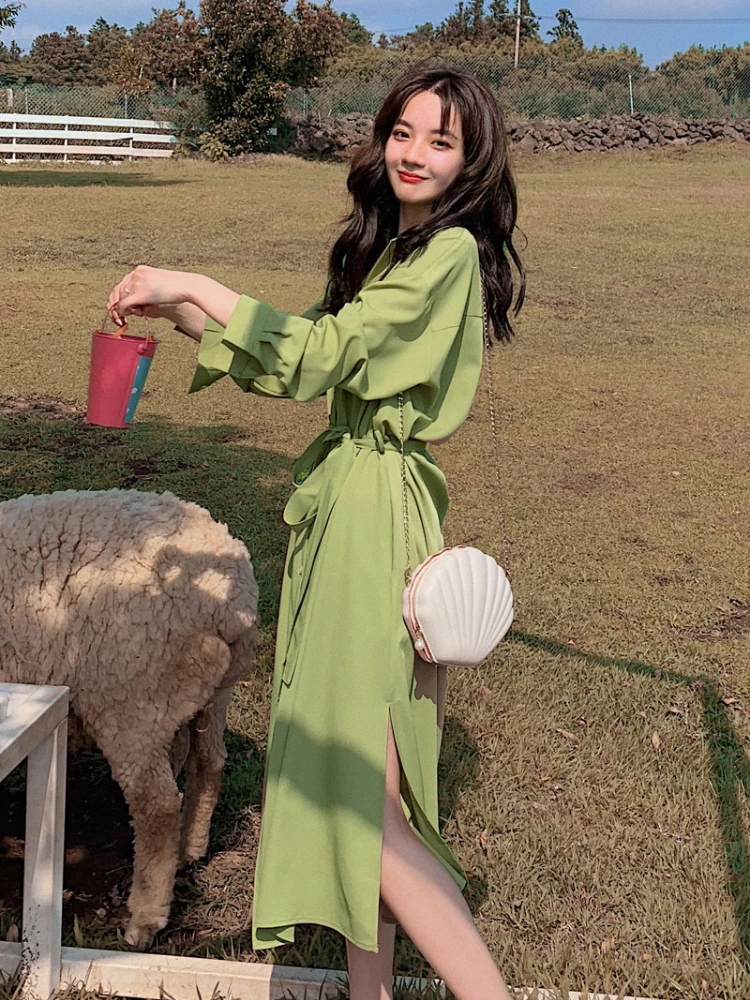 

Elegant Long Sleeve Chiffon Fairy Green Maxi Dress Women Autumn Solid Color V Neck Sweet Vintage Split Long Dresses 2022