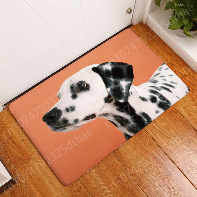 

Cute Cat Dog Pattern Printed Entrance Door Mats Anti Slip Bathroom Floor Carpet Doormat For Bathroom Kitchen Rugs Accept Custom