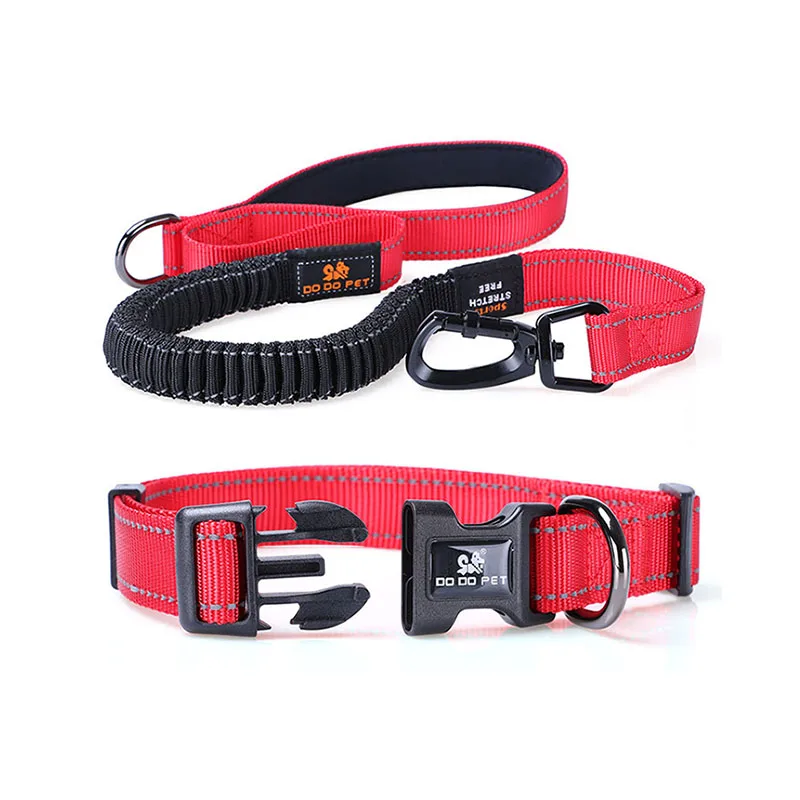 

Double Handle Dog Leash Adjustable Collar Set Reflective Pet Walking Jogging Stretchable Bungee Lead Rope for Large Dog Harness