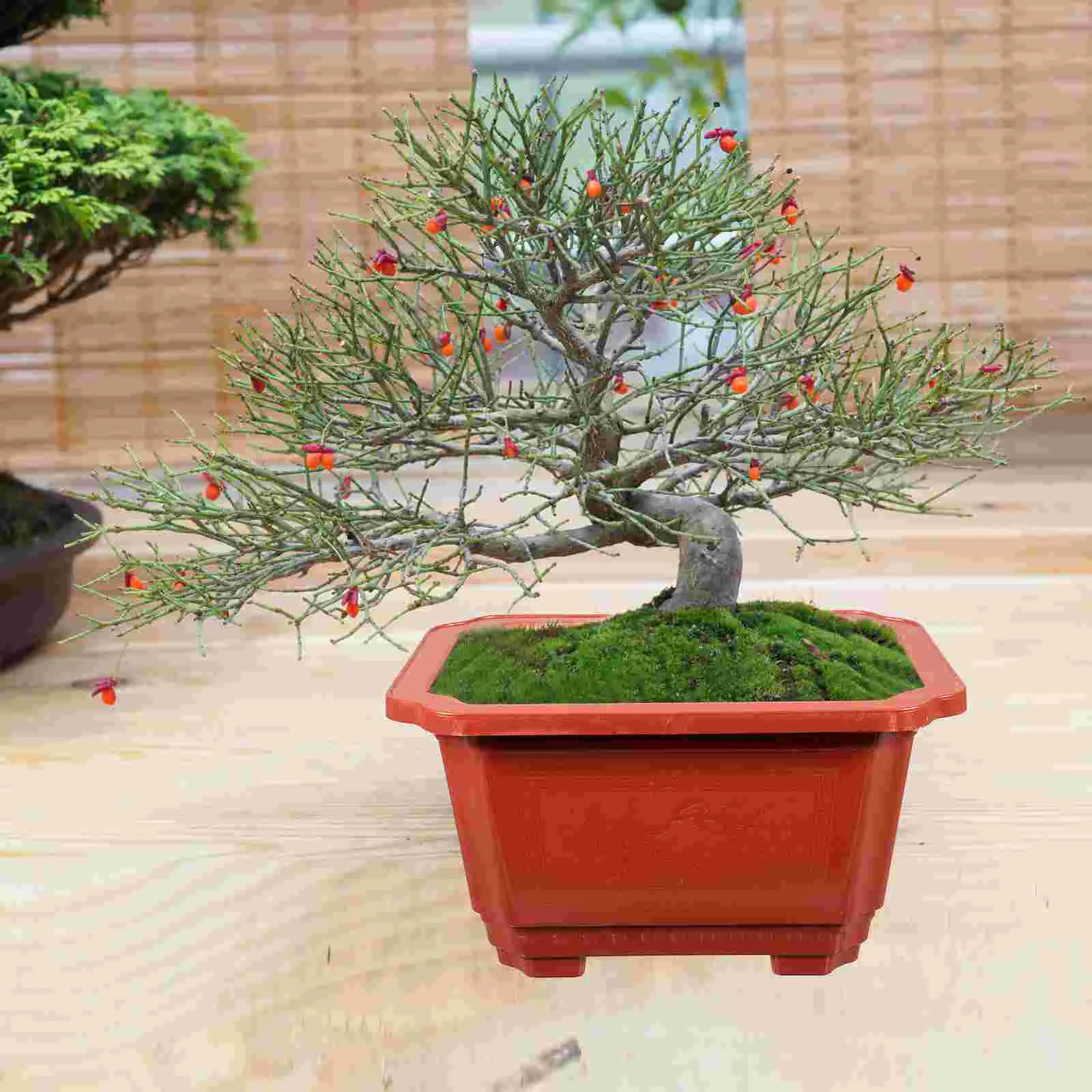 Цветочный горшок садовый держатель для бонсай садовые аксессуары контейнер