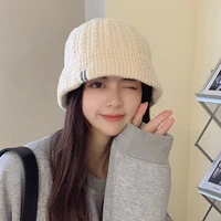 hat womens tide brand wild wool cap cold hat winter warm ear protection big head knitted hat for men and women