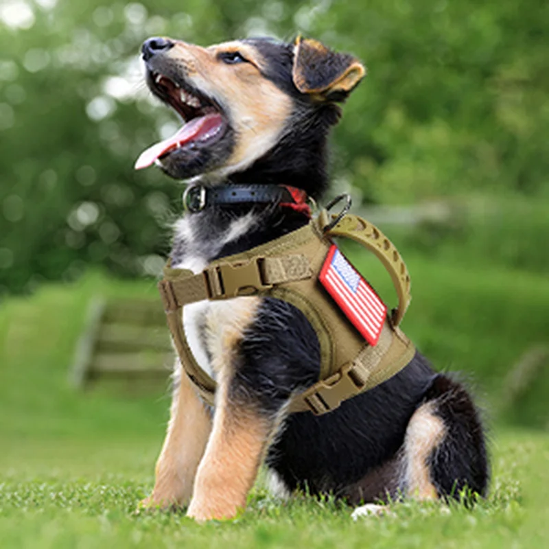 

Тактическая шлейка и поводок для кошек, Регулируемый военный жилет К9, для прогулок, ударов, легкое управление, для больших питомцев