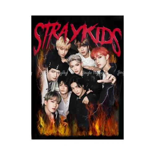 Stay Fandom Kpop концертный постер живопись холст настенное искусство гостиная спальня