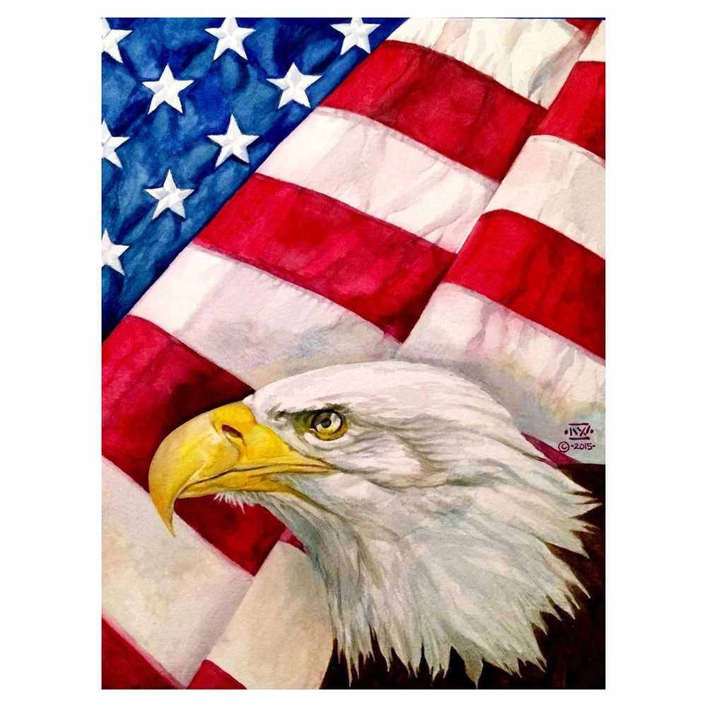 

Алмазная живопись с орлом, Набор для вышивки крестиком в современном стиле, ручная работа, для гостиной, спальни