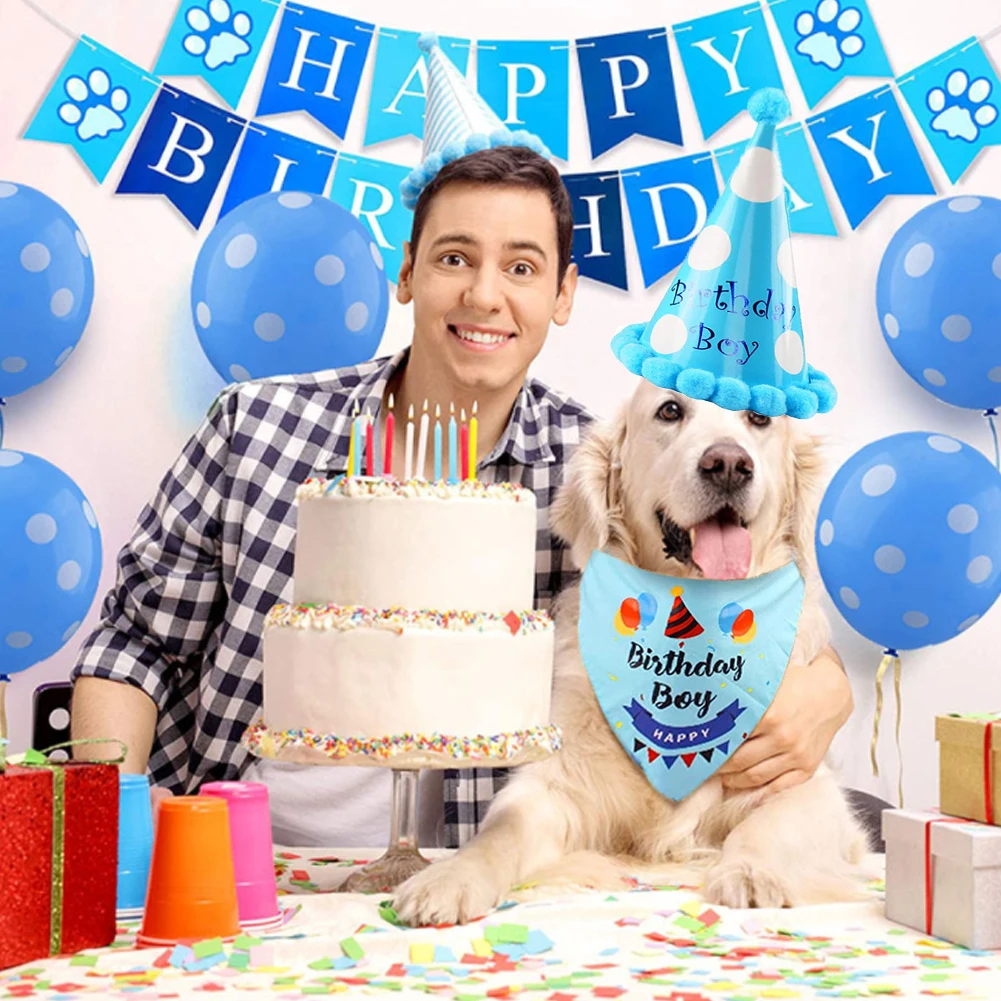 

Two-piece blue pet birthday decoration saliva towel dog party hat set pet birthday party decoration supplies dog accessories