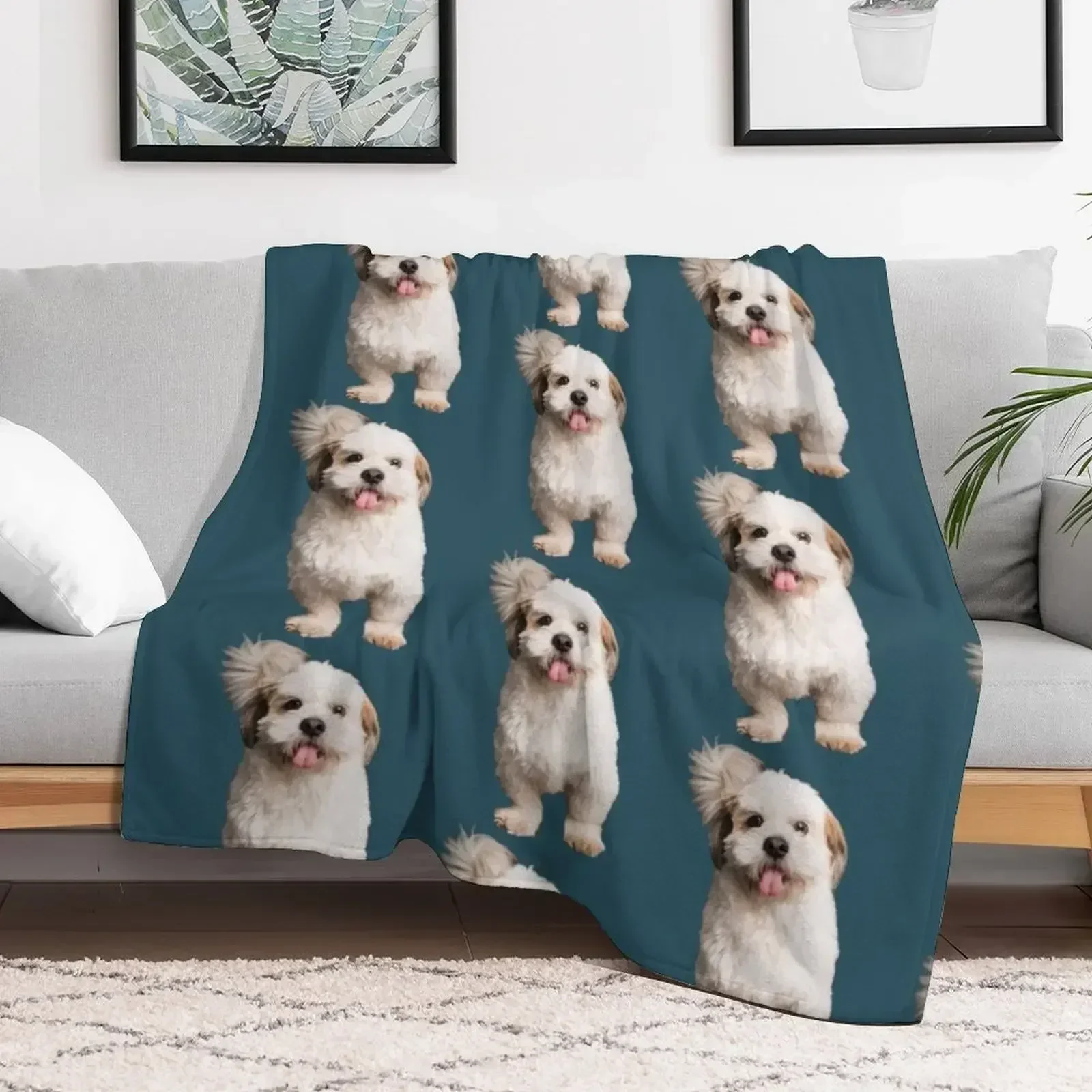Шишон миньон la vie estšinaure avec un Shichon amoureux des chiens est lembuture Throw Blanket