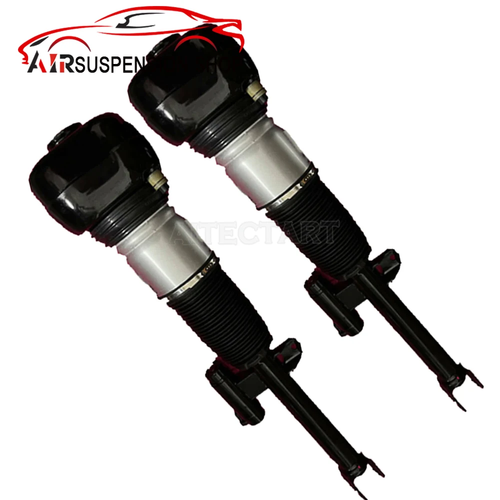 Рисунок 5 - Передний/задний амортизатор пневматической