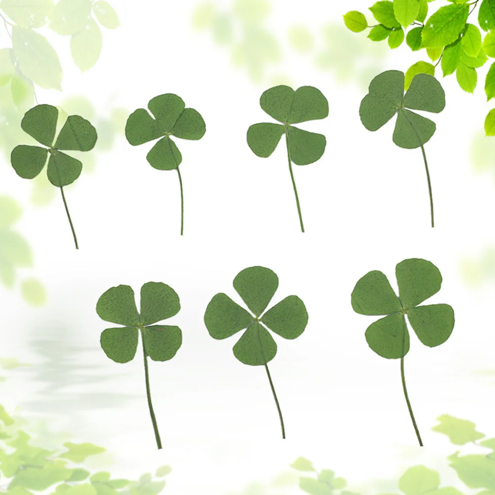 

12 Dried Four Leaf Pressed Flower Leaves Charm Pendants For DIY Resin Jewelry Making Accessories and Supplies