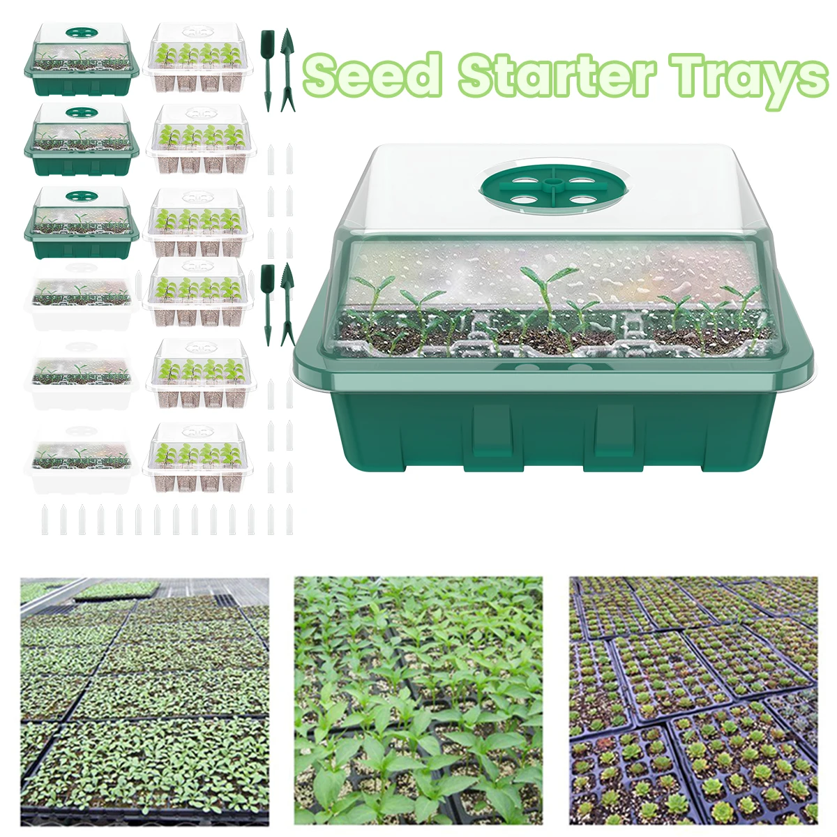 

Plastic Nursery Pot Seedling Starter Kit 12 Holes Seed Grow Box Greenhouse Seeding Garden Seed Pot Plant Seedling Tray With Lids