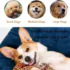 Pet Dog Squeaky Plush Dinosaur Toys Interactive Dog Chew Toys Plush Stuffing Pet Supplies Small Dog Chew Molar Toys 6