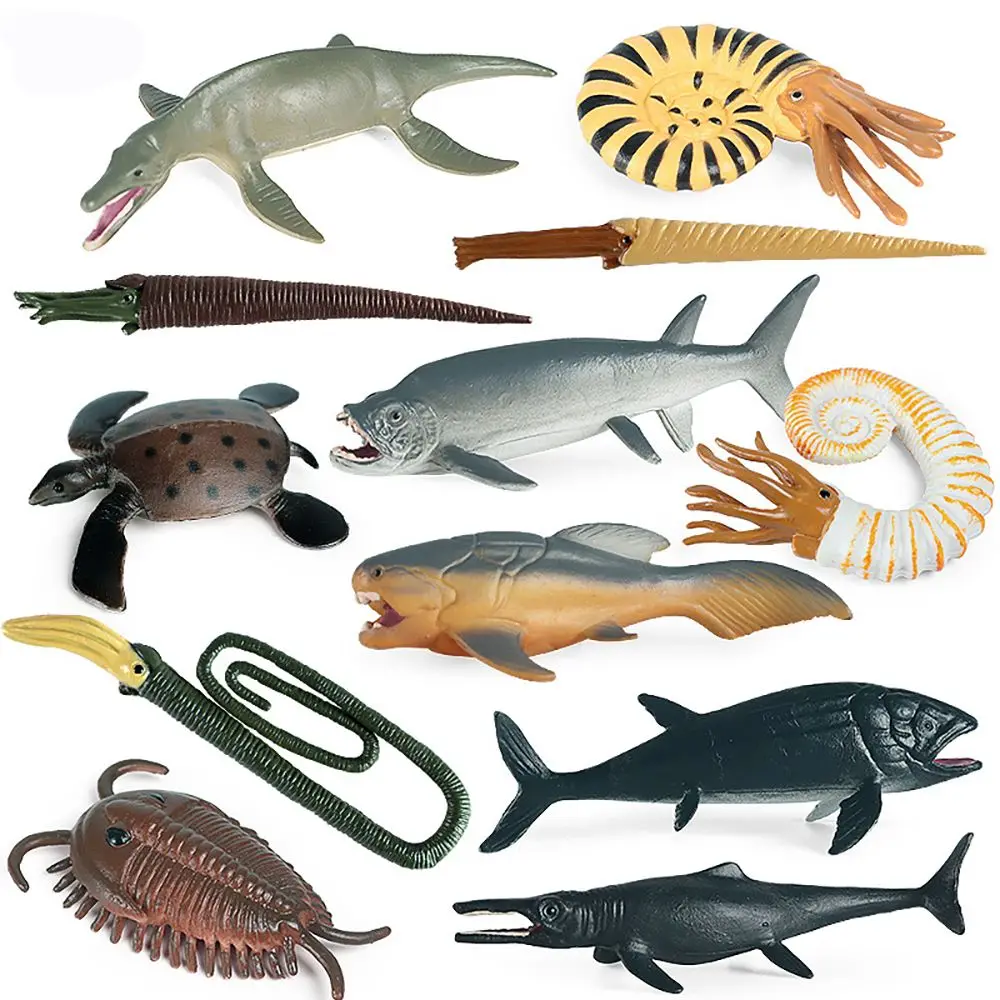 

Creatures Early Learning Nautilus Turtle Shark Seals Figurines Simulation Sealife Prehistoric Marine Organism Models