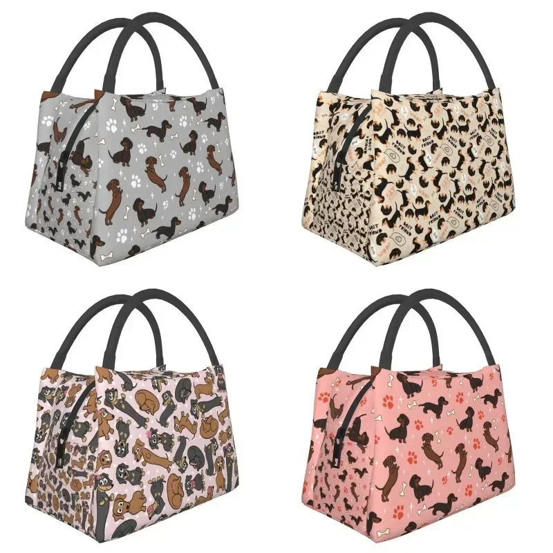 Серые таксы Dackel изолированные сумки для обеда кемпинга путешествий Wiede Dog Teckel