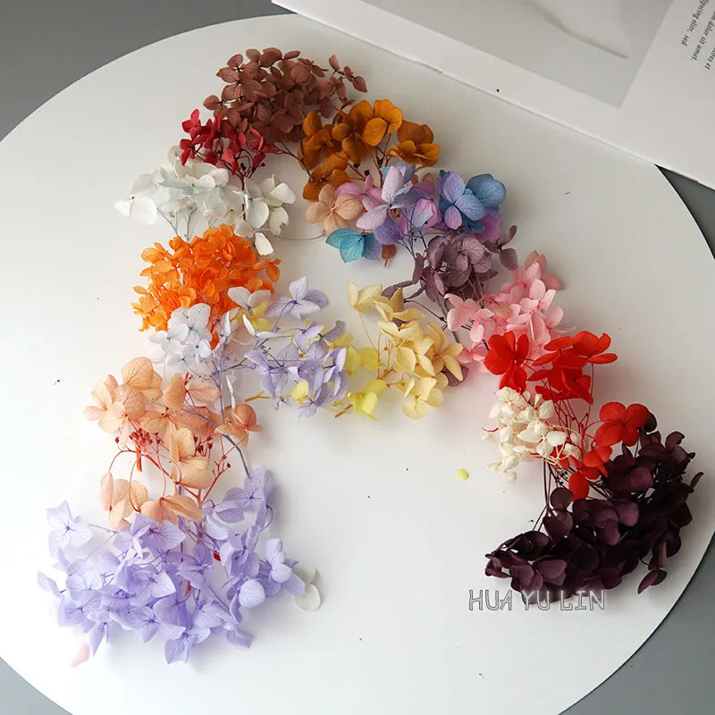 

Ⅱ Anna Hydrangea Dry Flower Preserved Flower DIY Earrings and Scented Candles Material For Gutta Percha Resin Home Decor