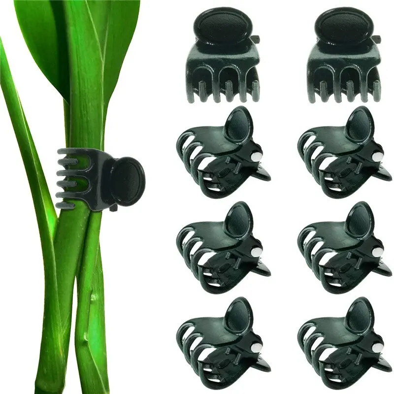 

100pcs Plastic Plant Clips Supports Connects Reusable Protection Grafting Fixing Tool Gardening Supplies for Vegetable Tomato