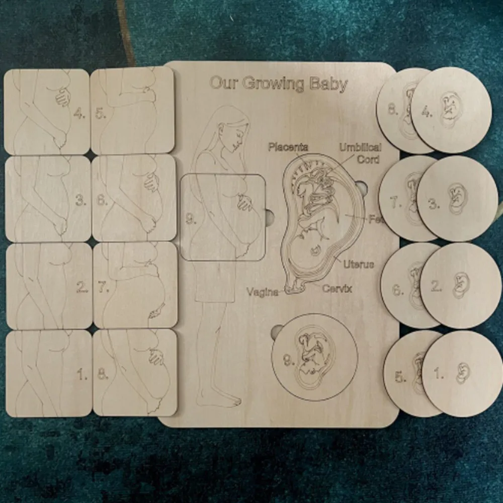 

Wooden Multilayer Pregnancy Puzzle Pregnant Mother Baby Puzzle Wood Toys Baby Birth Process Mother's Day Gift