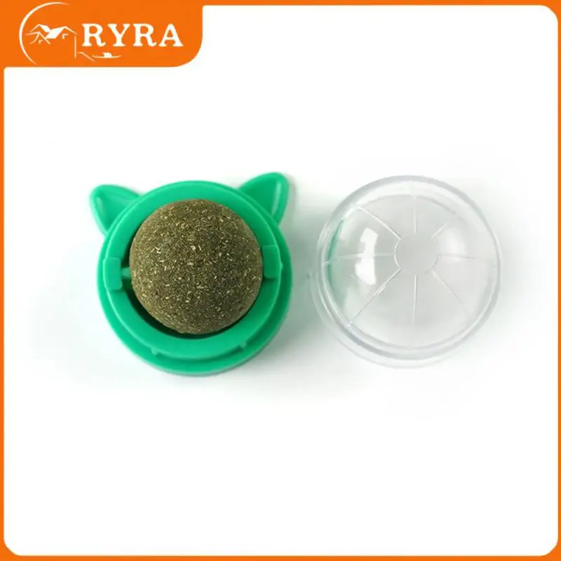 

Cat Supplies Toys Pet Supplies Pet Products Cat Mint Pets