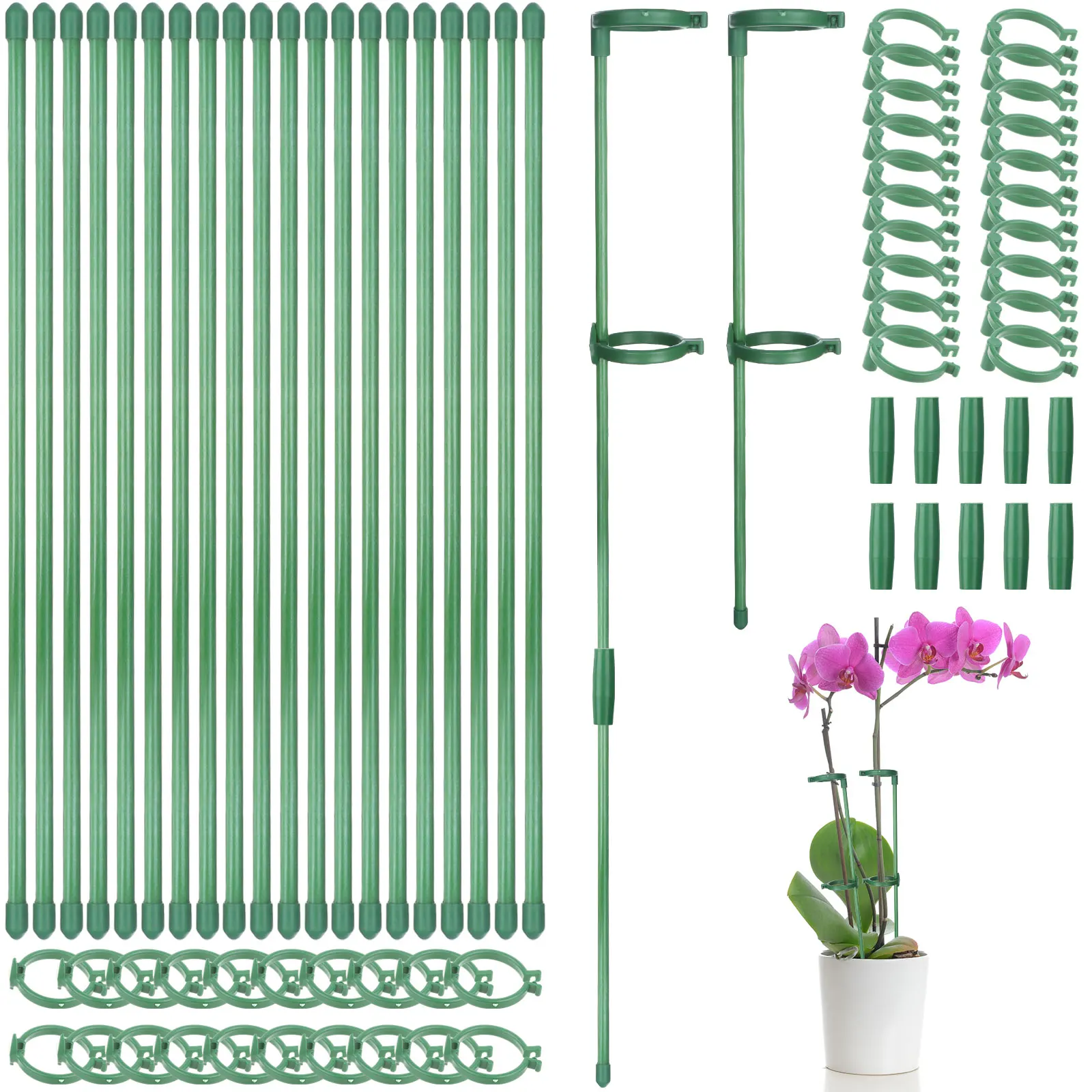 

20 Set Garden Stakes Adjustable Plant Support Sticks (12 in/30 cm) Green Plant Floral Flower Stakes with Buckles Plant Support R