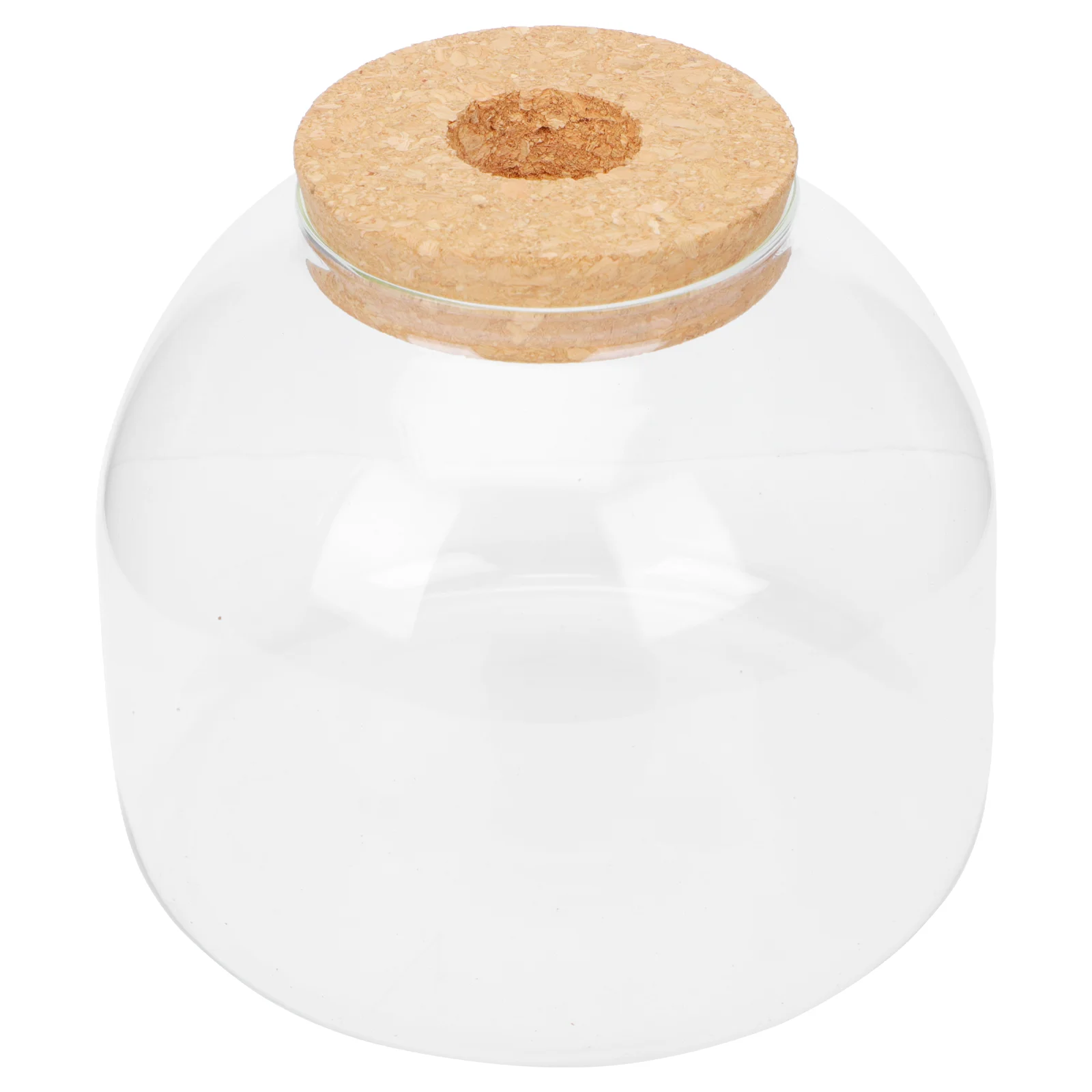 

Terrarium Bottle Container Vasejar Dome Planter Micro Landscape Air Display Case Bell Bowls Cloche Flower Ecological