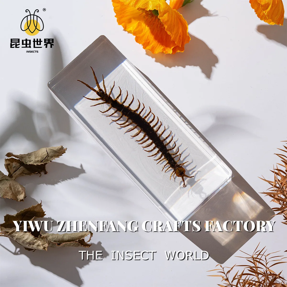 

Полимерная статуэтка многоножки