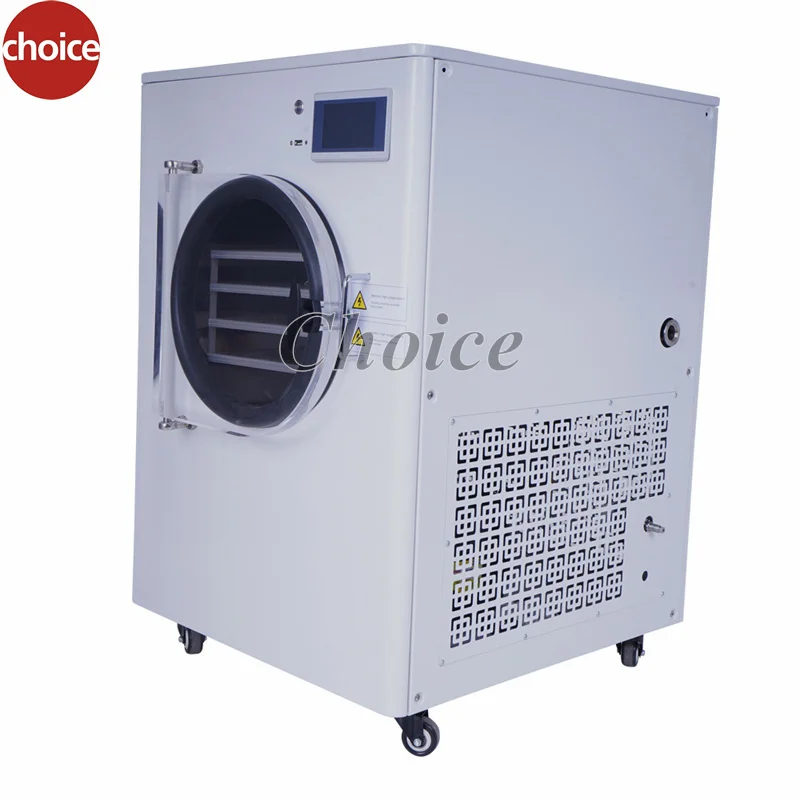 Household 6kg 8kg Fruit Food Mini Vacuum Dried Home Freeze Dryer Lyophilizer With Vacuum Pump Machine For Sale in USA