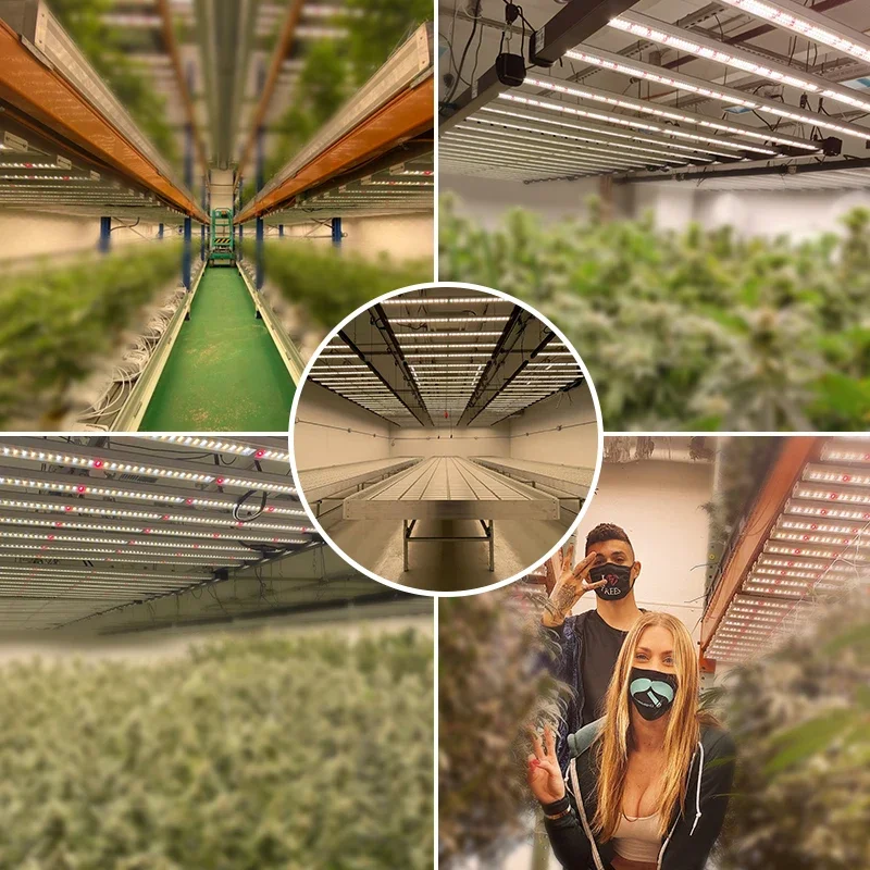 Гидро-лампа для теплиц Samsung Lm301H 3500K нм красная УФ ИК-лампа с регулируемой яркостью