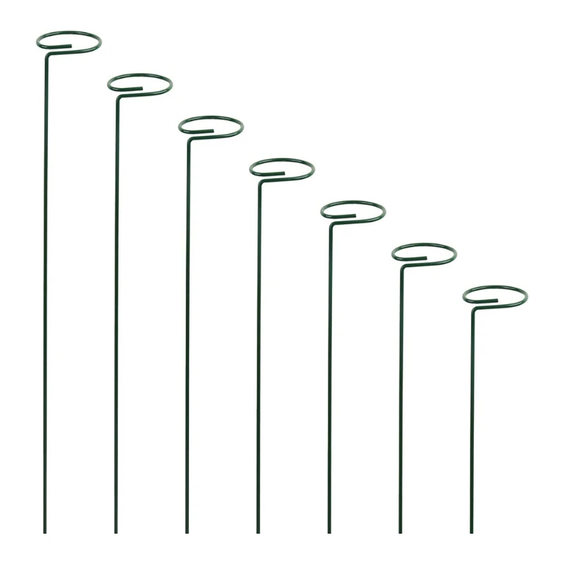 

Plant Stake Metal Garden Plant Support Holder Tomatoes Peony Lily Rose Climbing
