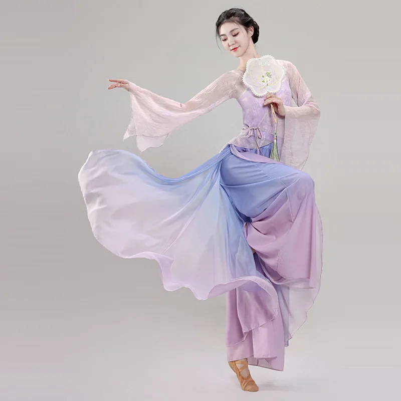 

Classical Dance Costume Gradual Suit Fairy Daily Practice Dress Loose Flowing Gauze Chinese Dance Performance Stag Dancewear