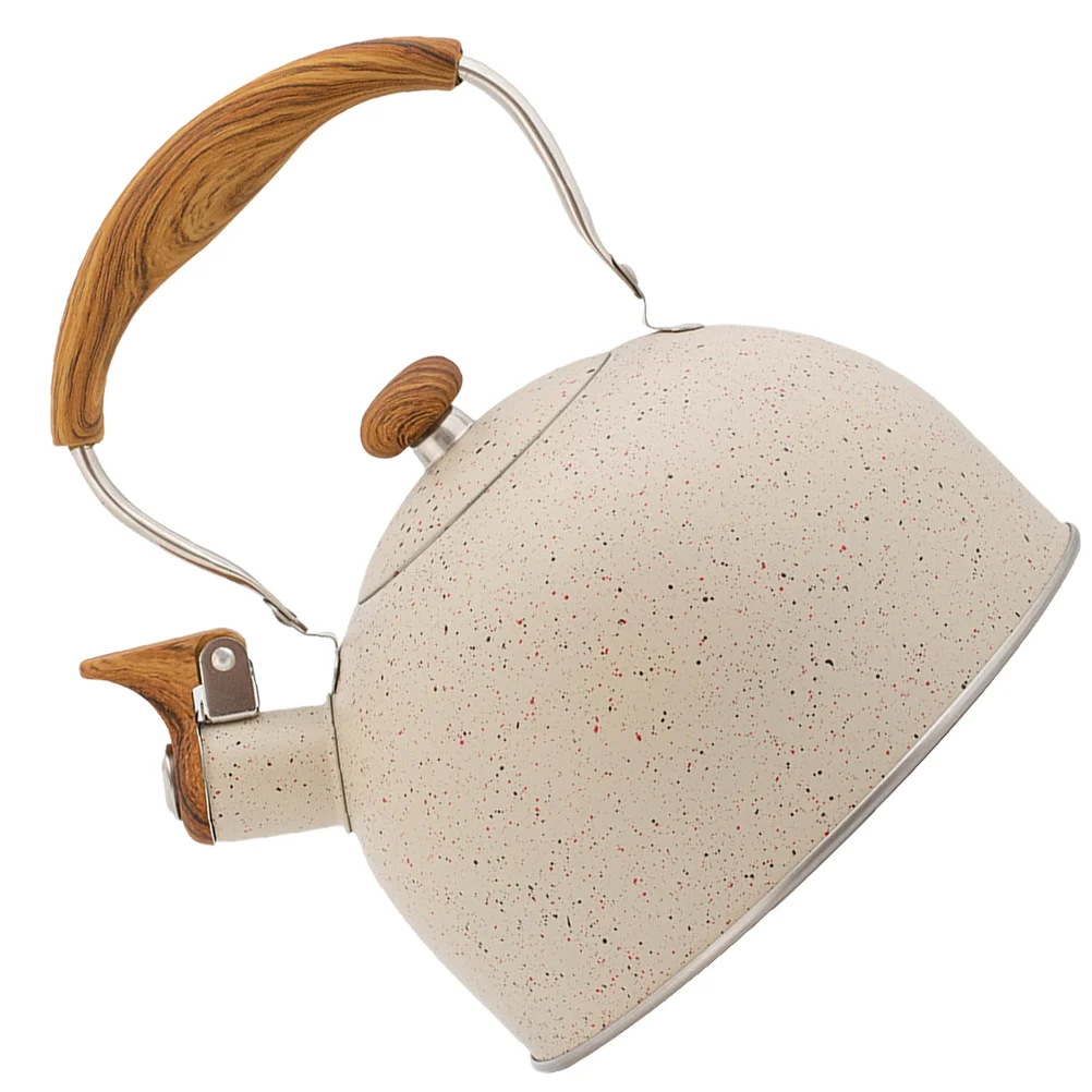 

Чайник из нержавеющей стали с защитой от нагрева