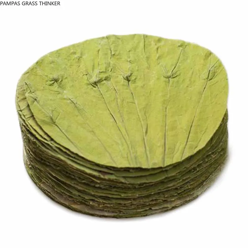 

30pcs High quality pure natural dried round dried lotus leaf 9-26cm Raw color