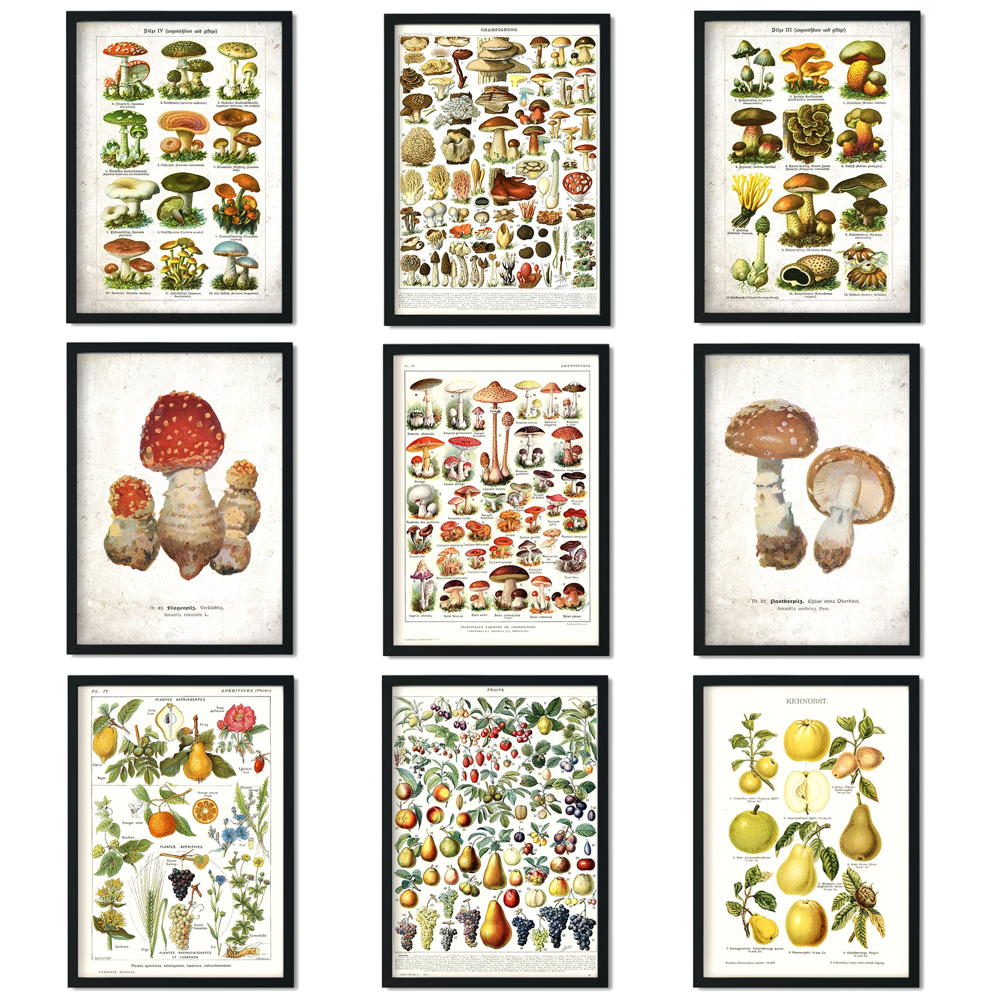 

Плакат на холсте с изображением диких растений, грибов и цветов