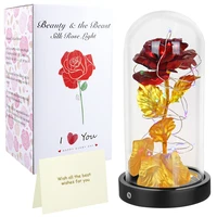 beauty and the beast rose kit usb battery rose in glass dome valentines day gift colorful led lights artificial rose flowers