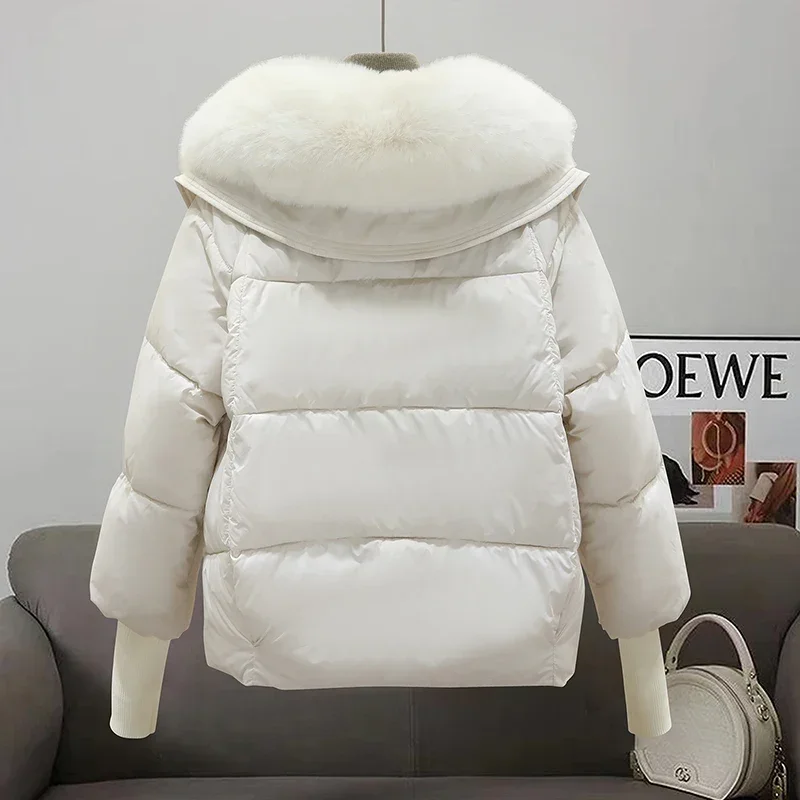 Новая модная куртка зимняя парка женское свободное пальто с большим меховым