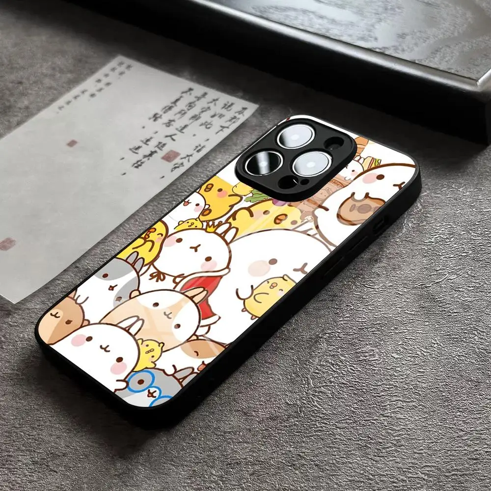 Фото Чехол для телефона с мультяшным дизайном M-Molangs для iPhone 17 Pro Max 14 Plus 12 Mini 11 13 15 X XR XS 16 Plus SE, стеклянная крышка №5