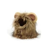 Cute Lion Mane Cat Wig Hat 6