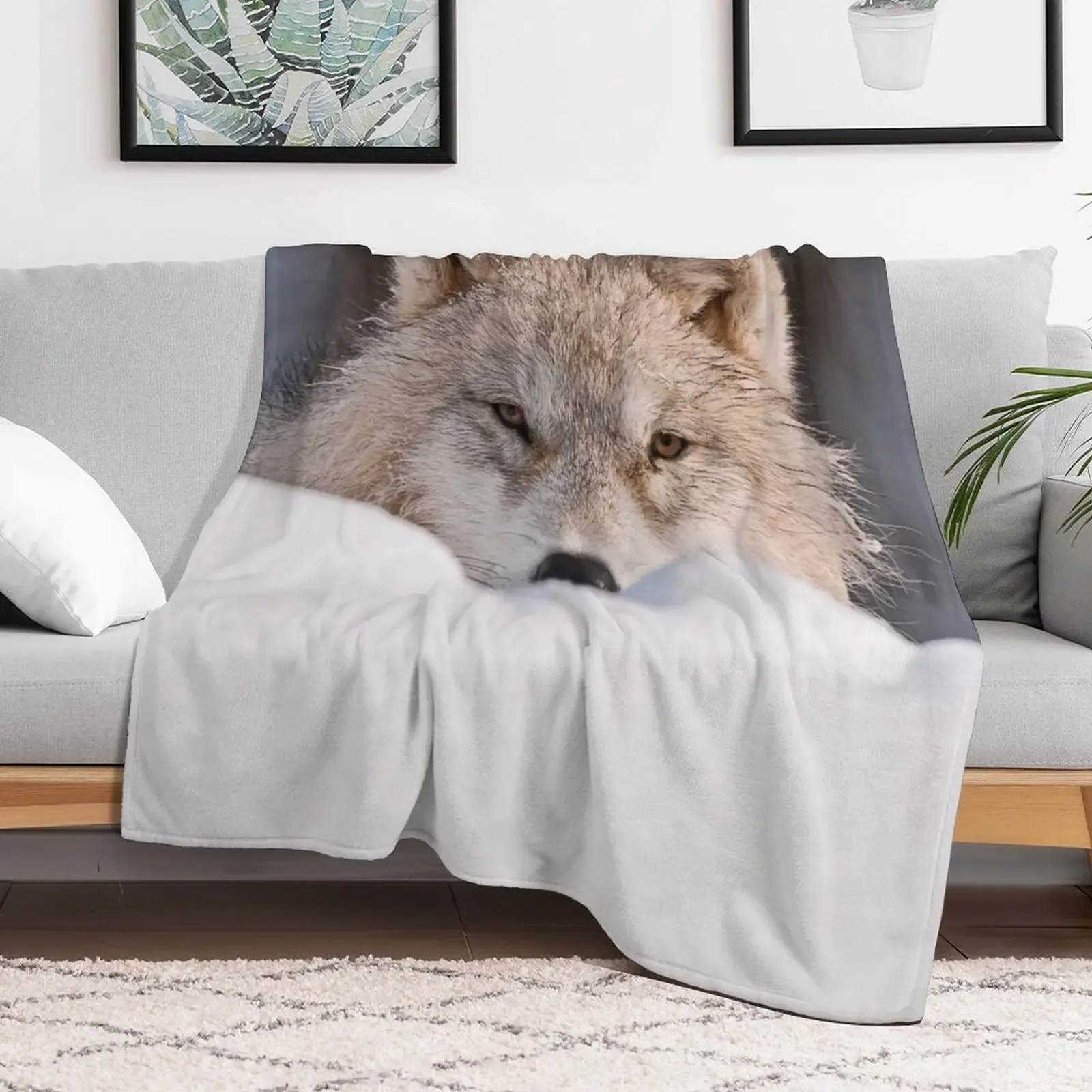 Plush одеяло Арктический волк