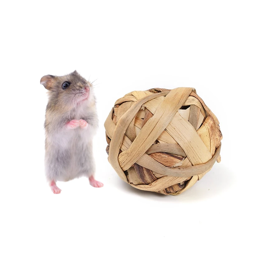 

Hamster Molar Parrot Toy Rabbit Toy Natural Bites Gourd grass ball Toys Cat & Dog Sports Teeth Clean Toys Pig Accessories 7cm