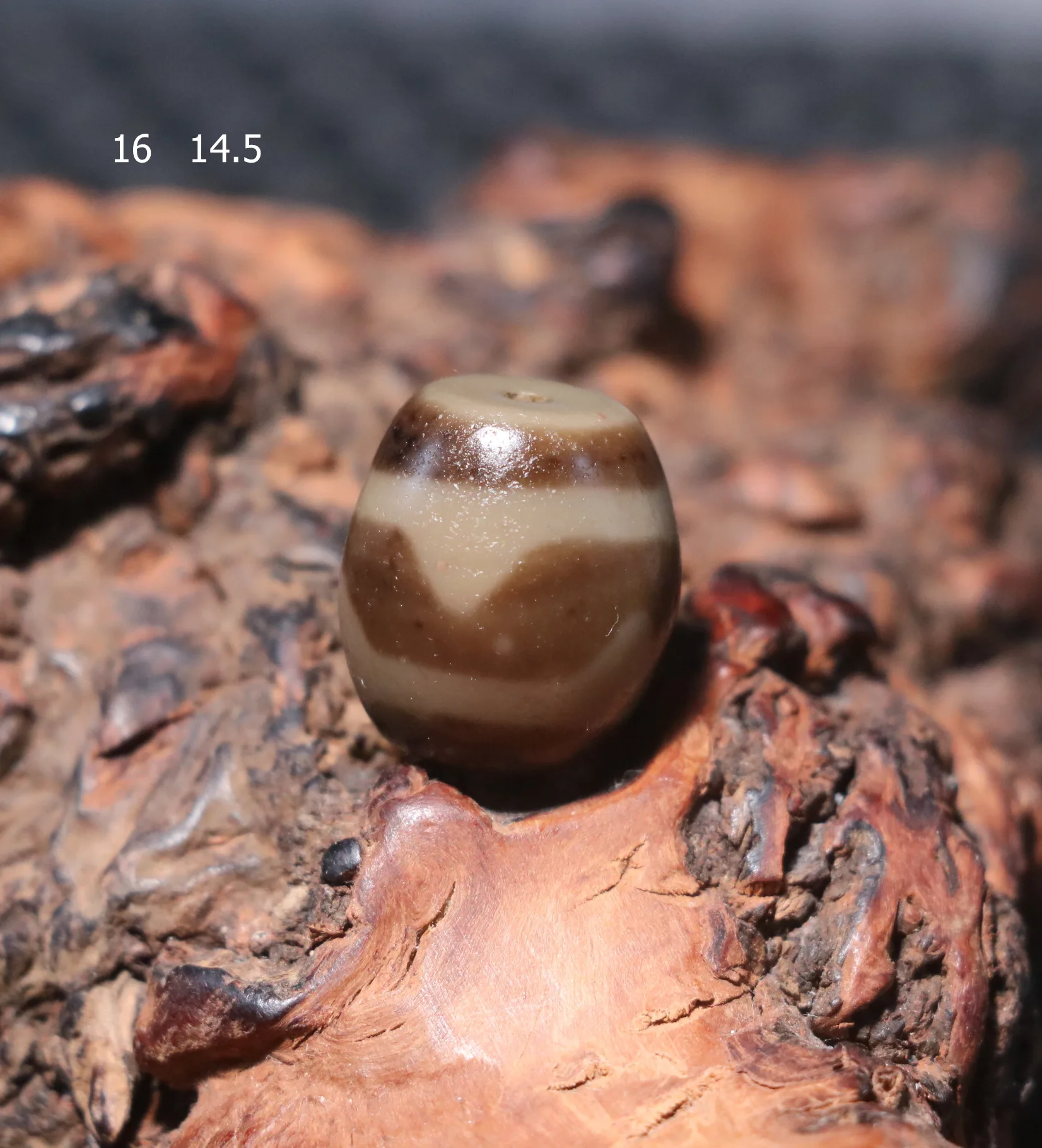 Энергетический тибетский старый агат патина цвета слоновой кости зуб тигра