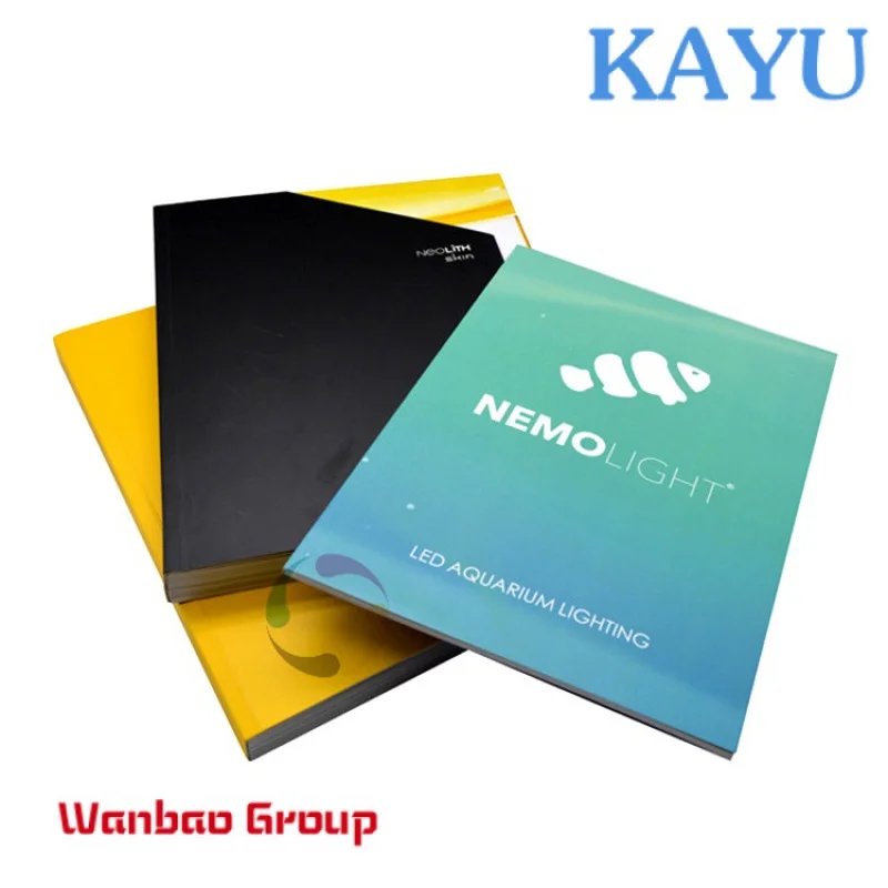 Рисунок 2 - Профессиональная недорогая брошюра/Каталог/журнал