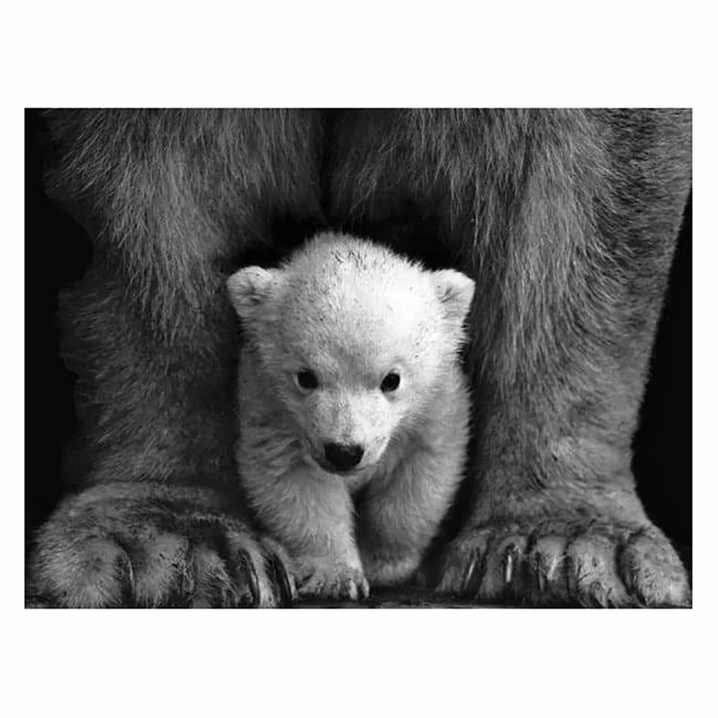 

DIY-5D Diamond Painting Little Bear Splicing Set under Mother's Feathers Full Diamond Embroidery Mosaic Picture Closed