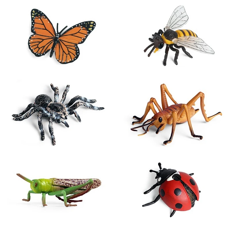 

6PCS Realistic Insects Figures Toys Plastic Set with Butterfly Bee Locust Spider School Project for Kids Toddlers