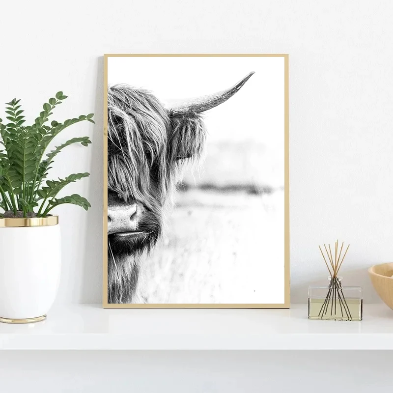 Черно-белая ферма животное Лев гора корова крупный рогатого скота портрет