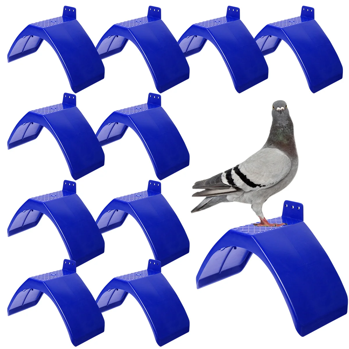 

POPETPOP 10pcs Plastic Pigeon Perch Dove Rest Stand Dwelling Supplies for Birds Swallow Pigeon (Blue)