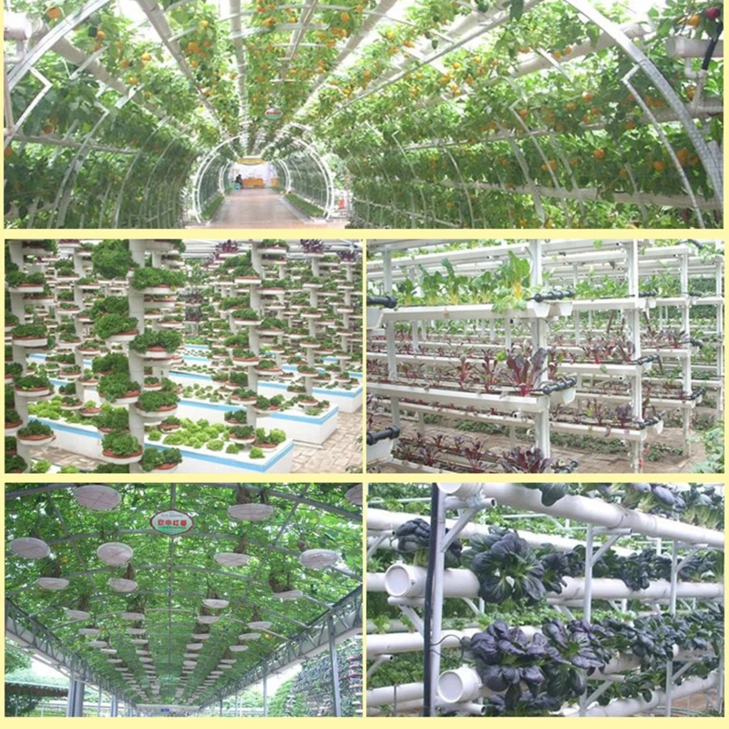 

50pcs Hydroponic Soilless Mesh Net basket Plant veg Grow Nursery Cup Pot Sponge tray Aeroponic Veg Planter Clone Colonization