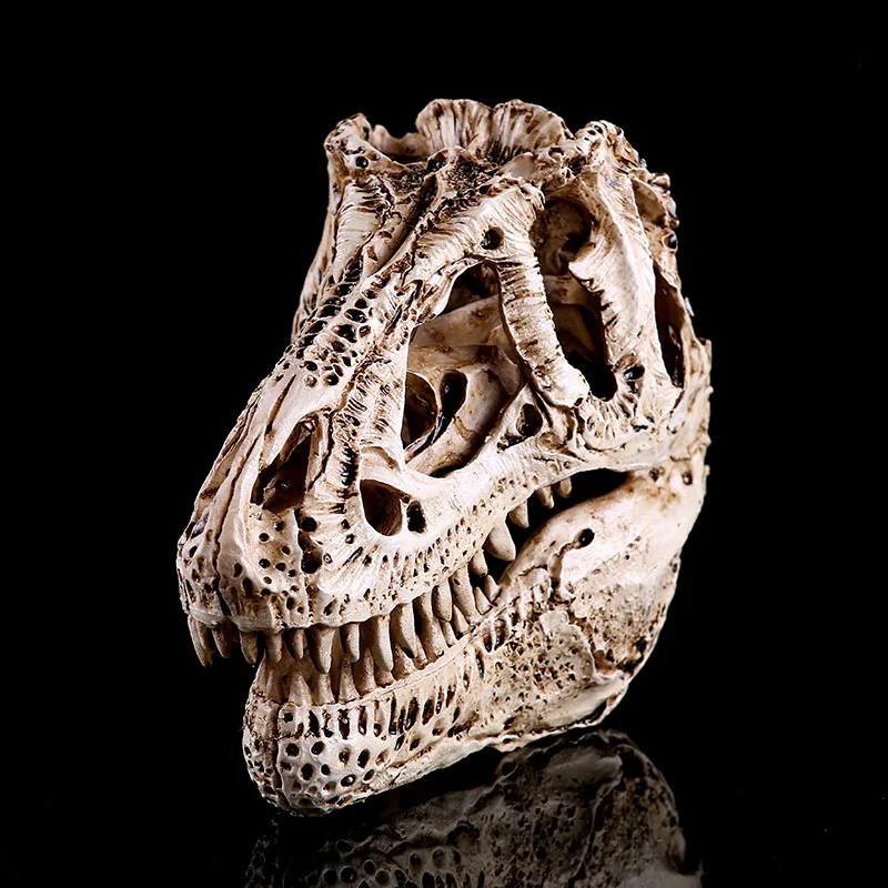 

Monolophosaurus Dinosaur Resin Crafts Zoo Skull Specimen Display Fossil Ornament Statues Handcraft Halloween Gift for Home Decor