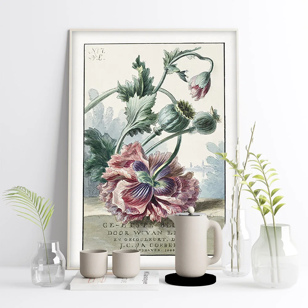 Виллем Ван Лен плакат маки винтажный художественный принт цветок ботанический